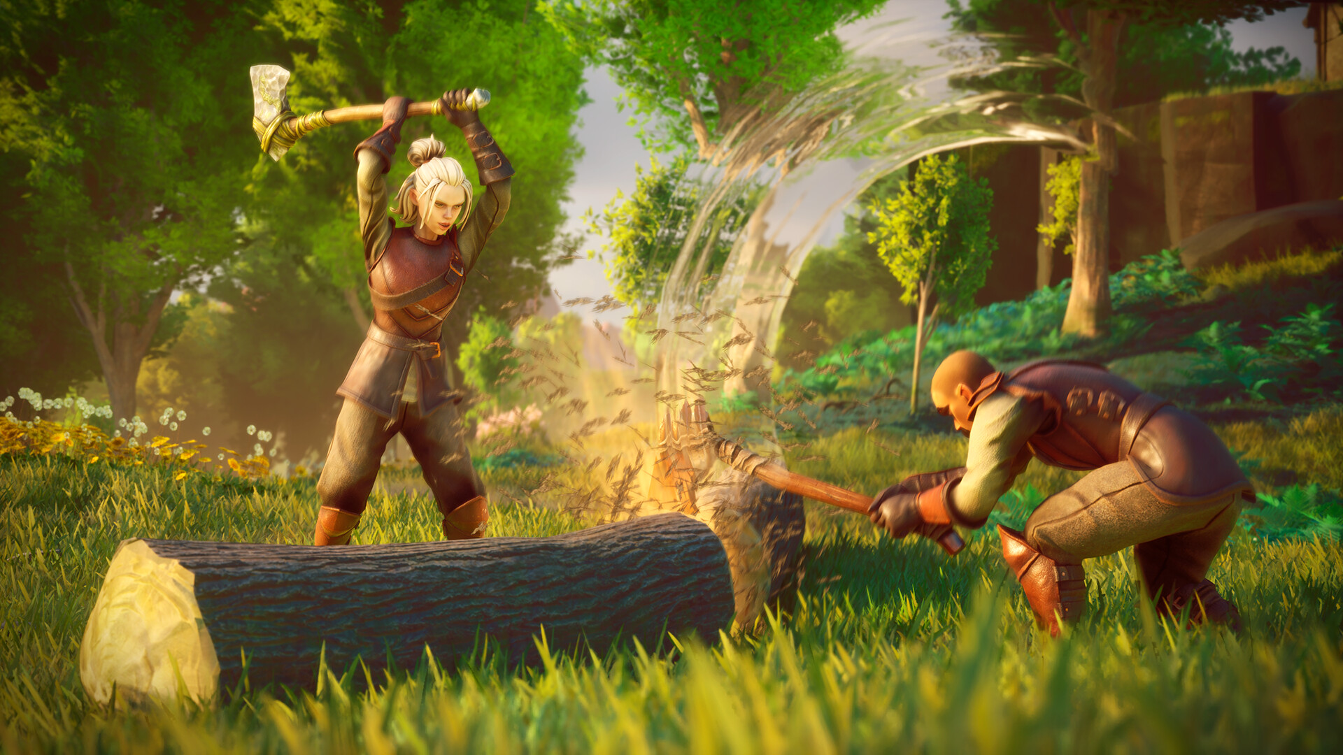 Dragon Combat